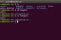 Come usare i comandi Sudo in Linux (mini guida)